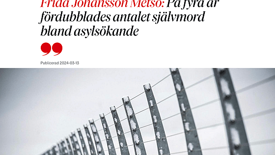 Krönika av Frida Johansson Metso i DN