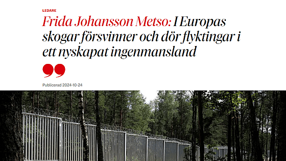 Skärmdump DN krönika
