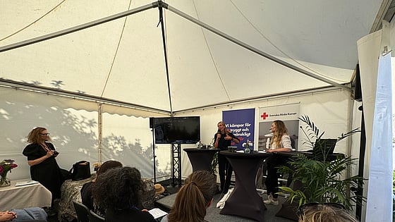 Seminarium i Almedalen