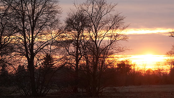 solnedgång