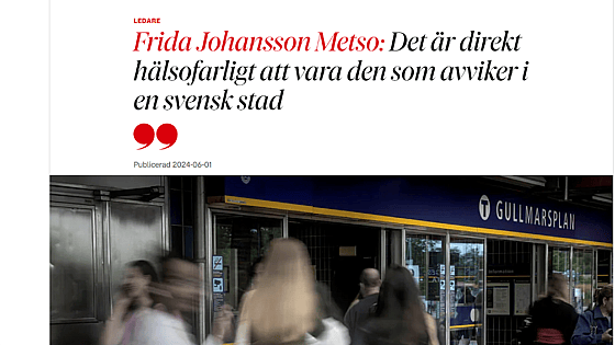 Skärmdump DN krönika