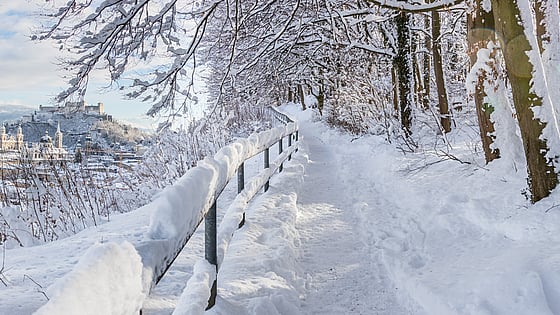 Vinter