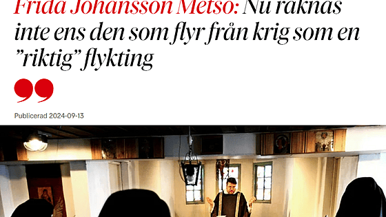 Skärmdump DN krönika