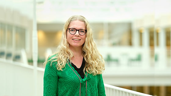 Carina Faag, Röda Korsets Högskola
