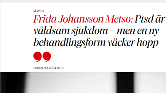 Skärmdump DN krönika