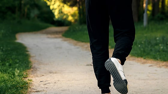 Person som jobbar i en skog. Foto:Mostphotos
