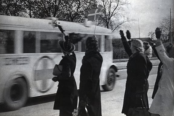 Vita bussarna. Foto: Svenska Röda Korsets mediebank