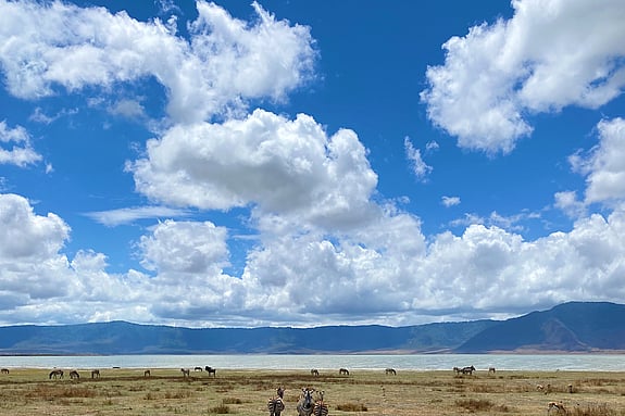 Zebror, Tanzania. Foto: Privat