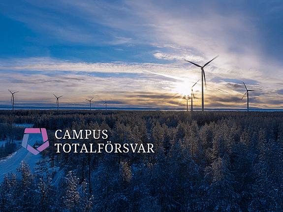 Bild över skogslandskap. Foto: Campus Totalförsvar