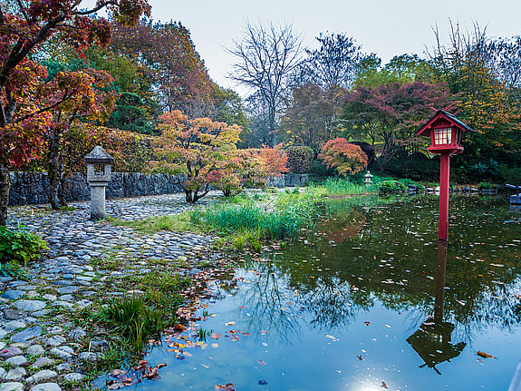 Trädgård i Japan. Foto: Mostphotos