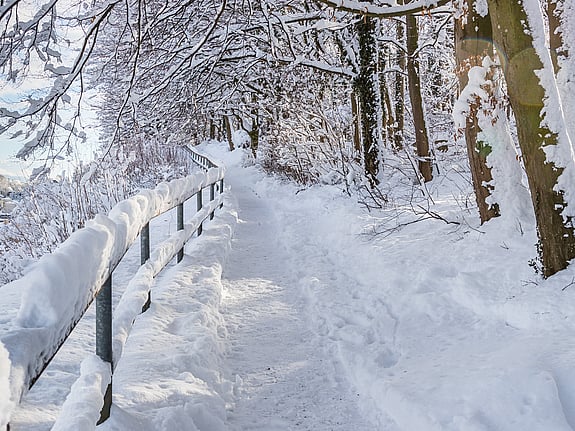 Vinter