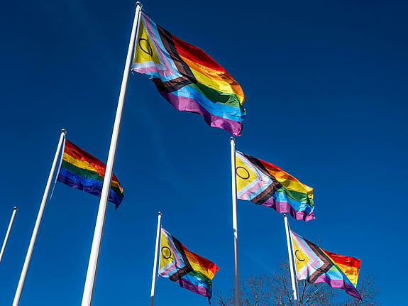 lgbtq+ flaggor mot en blå himmel. Foto: Pixels