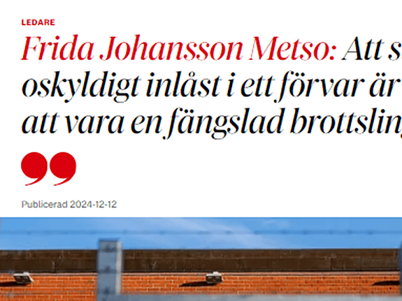 Skärmdump krönika