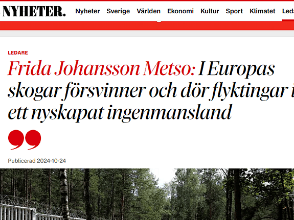 Skärmdump krönika