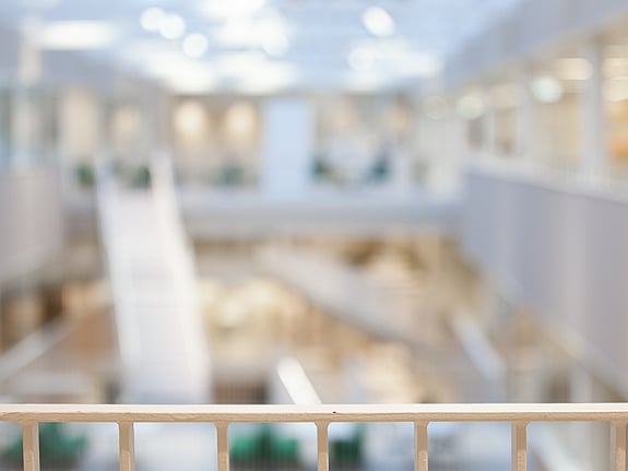 Lokal kort skärpa. Foto: Andreas Bergius.