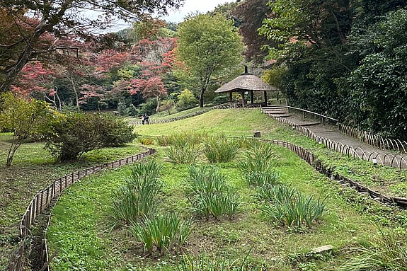Japan. Foto: Privat
