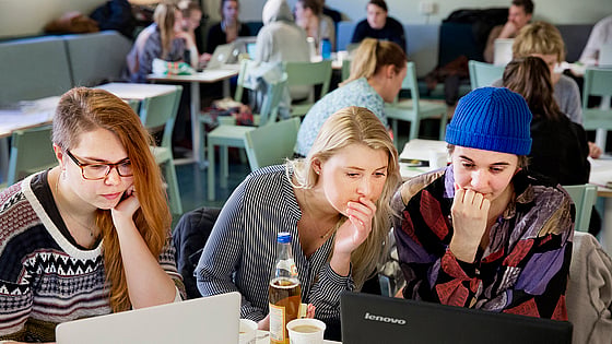 Bild på studenter som studerar tillsammans