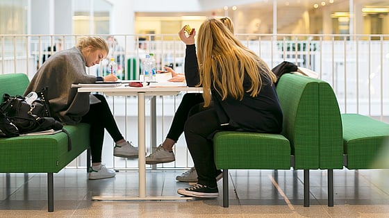 bild på tre studenter som studerar tillsammans. Foto: RKH